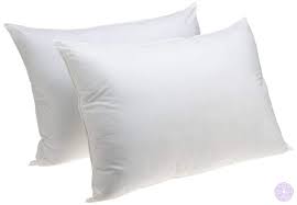 Hypo-Allergenic Poly Pillow Form