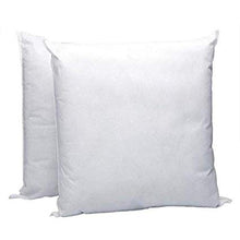 Load image into Gallery viewer, Hypo-Allergenic Poly Pillow Form